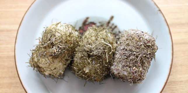 koubuonigiri