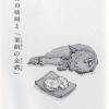 wakaremichi_t2