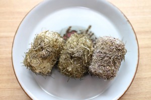 koubuonigiri